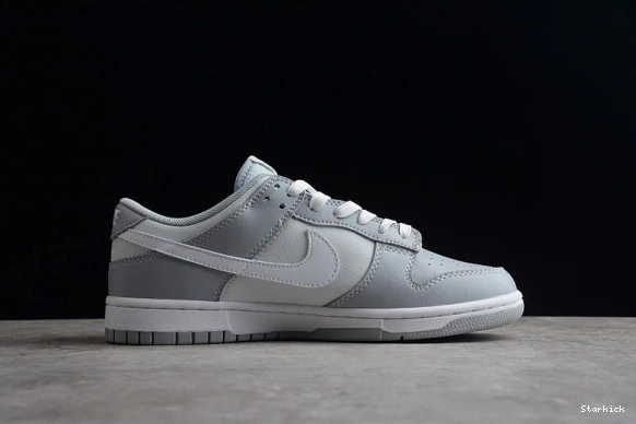 DJ6188-001 Low Two Dunk Tone Grey NNike 0124